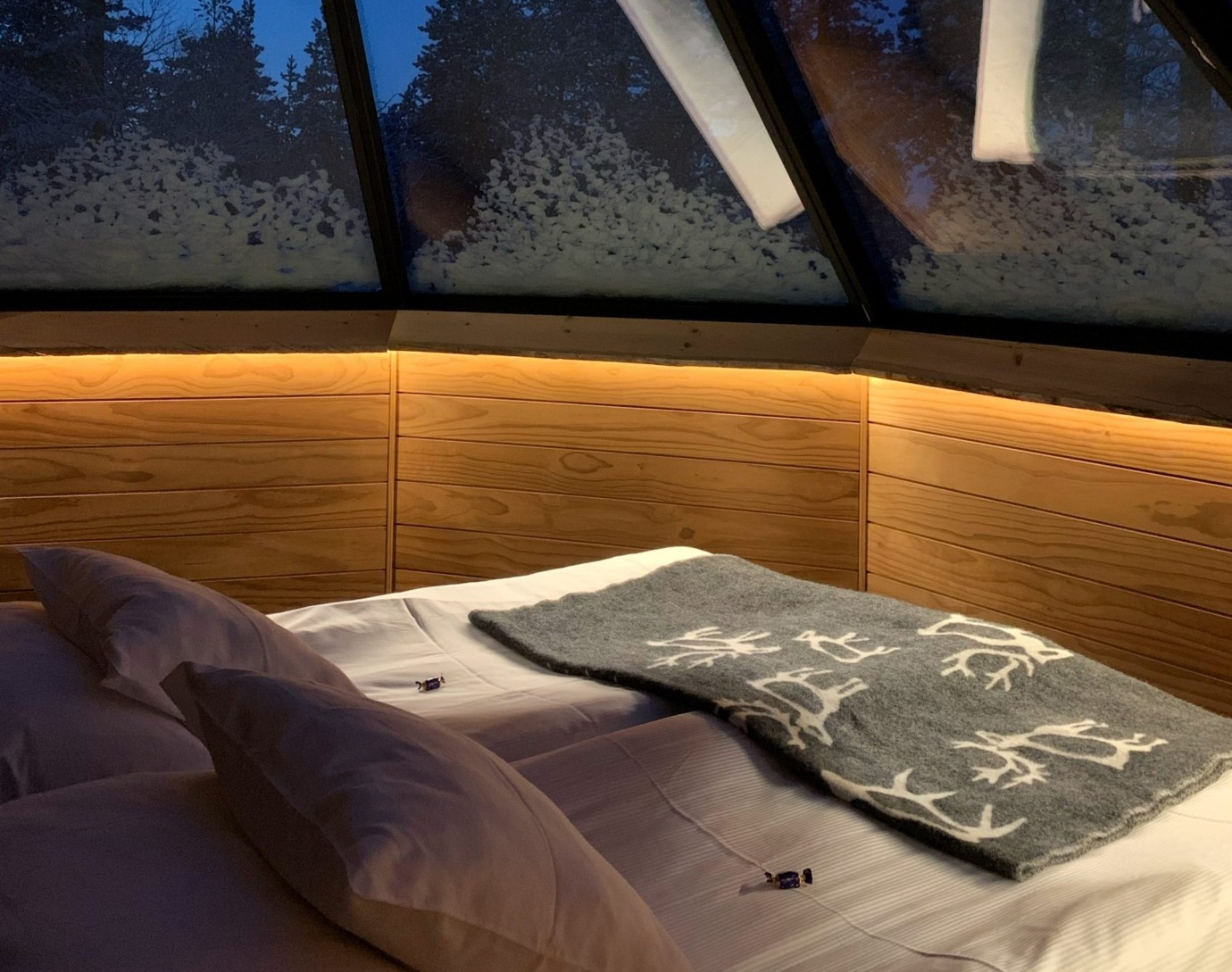 Wilderness Hotel Nangu – Aurora Cabin